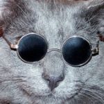 Рисунок профиля (Илья)